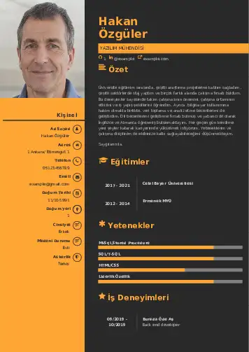 Yazılım Mühendisi Cv Örnekleri cv indir